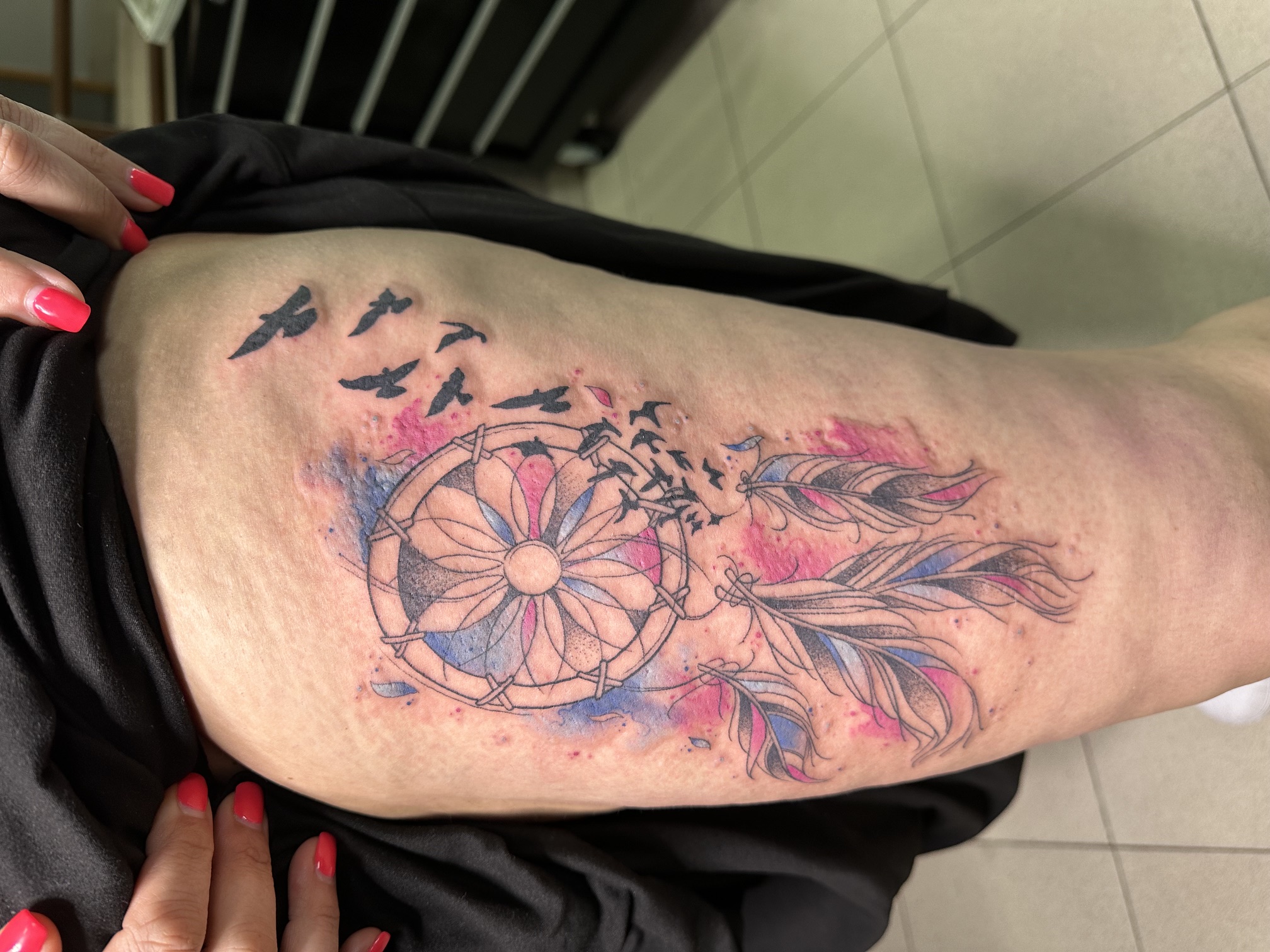 Caça sonhos aquarela