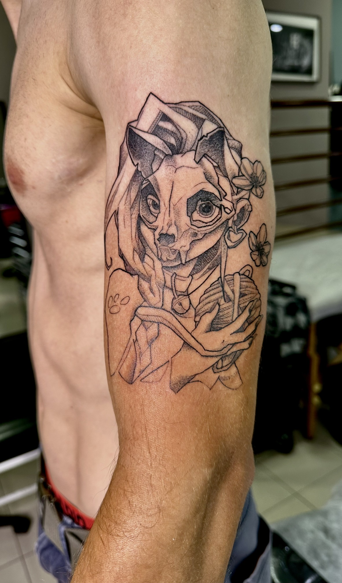 Mulher Gato